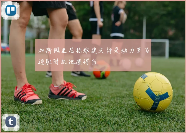 加斯佩里尼称球迷支持是动力罗马连胜时机把握得当